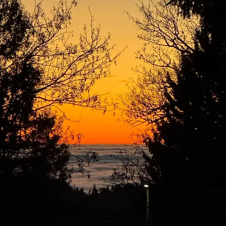 Hainz Panorama
